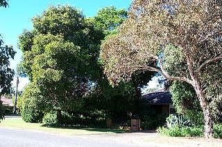 137 Tribute St E, Riverton, WA 6148