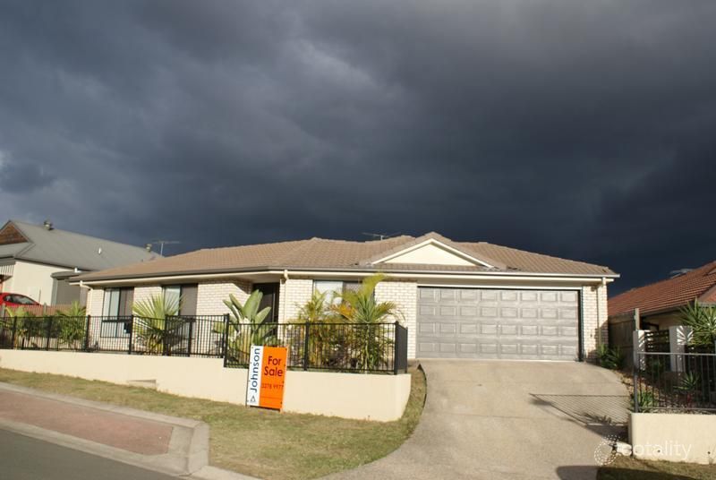 49 Congo Cct, Springfield, QLD 4300