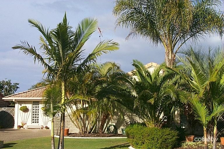 10 Wandoo St, Minyama, QLD 4575