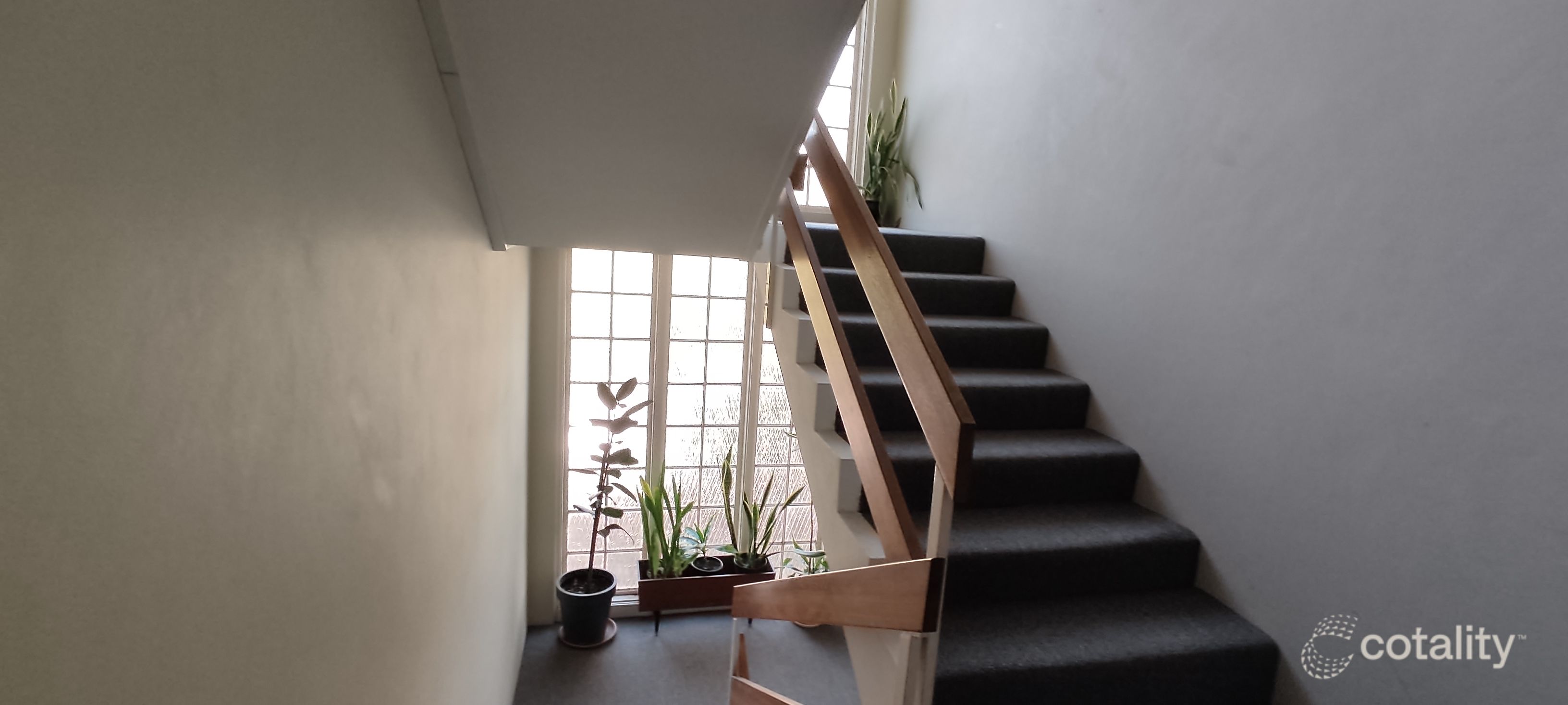 3/44 Chandos St, Ashfield, NSW 2131