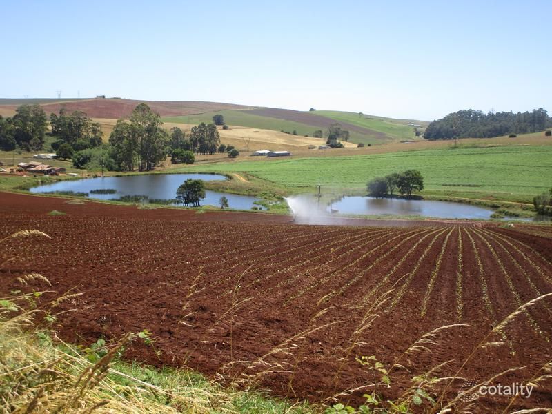 605 Castra Rd, Abbotsham, TAS 7315