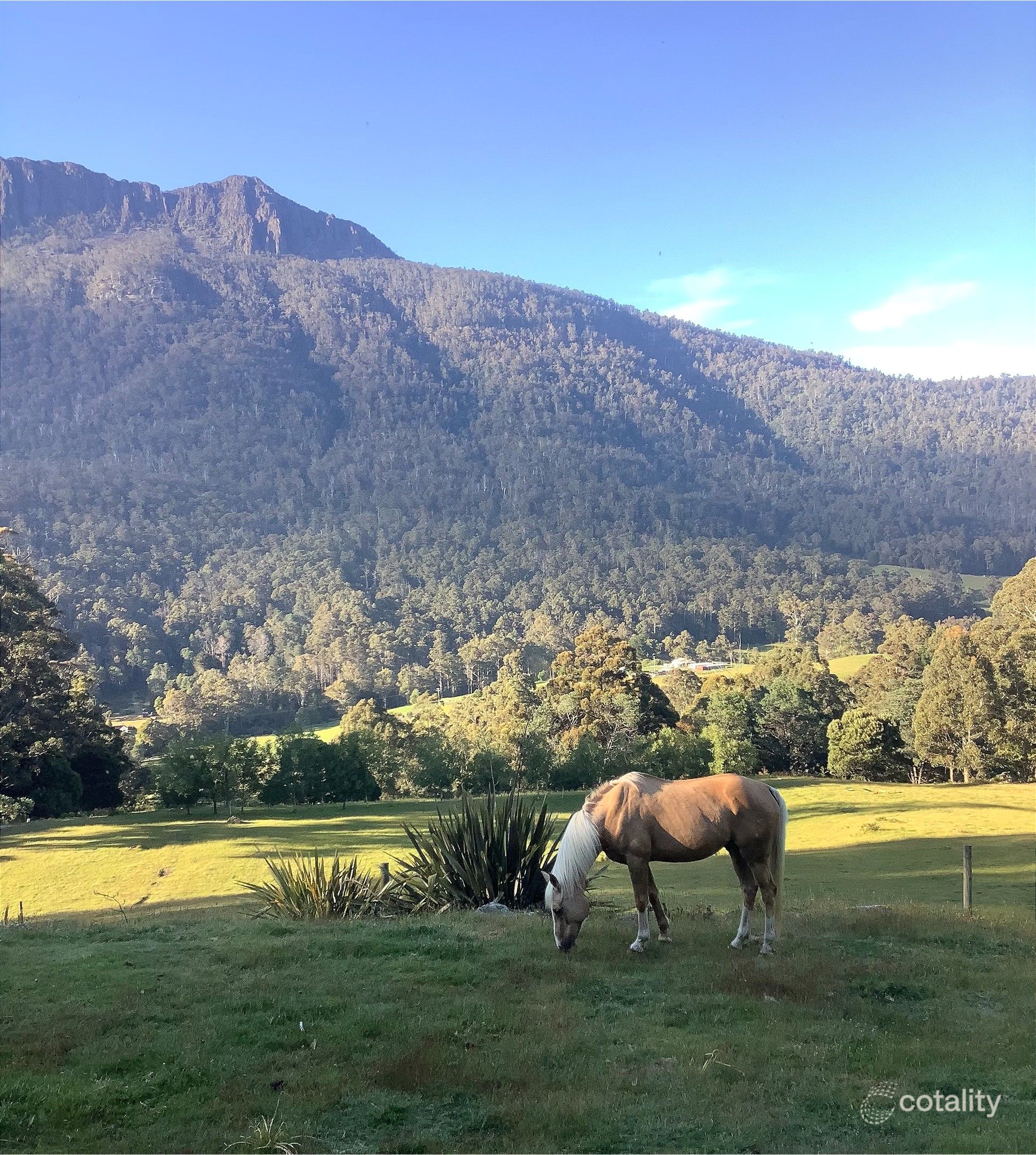 160 Gulf Rd, Liffey, TAS 7301