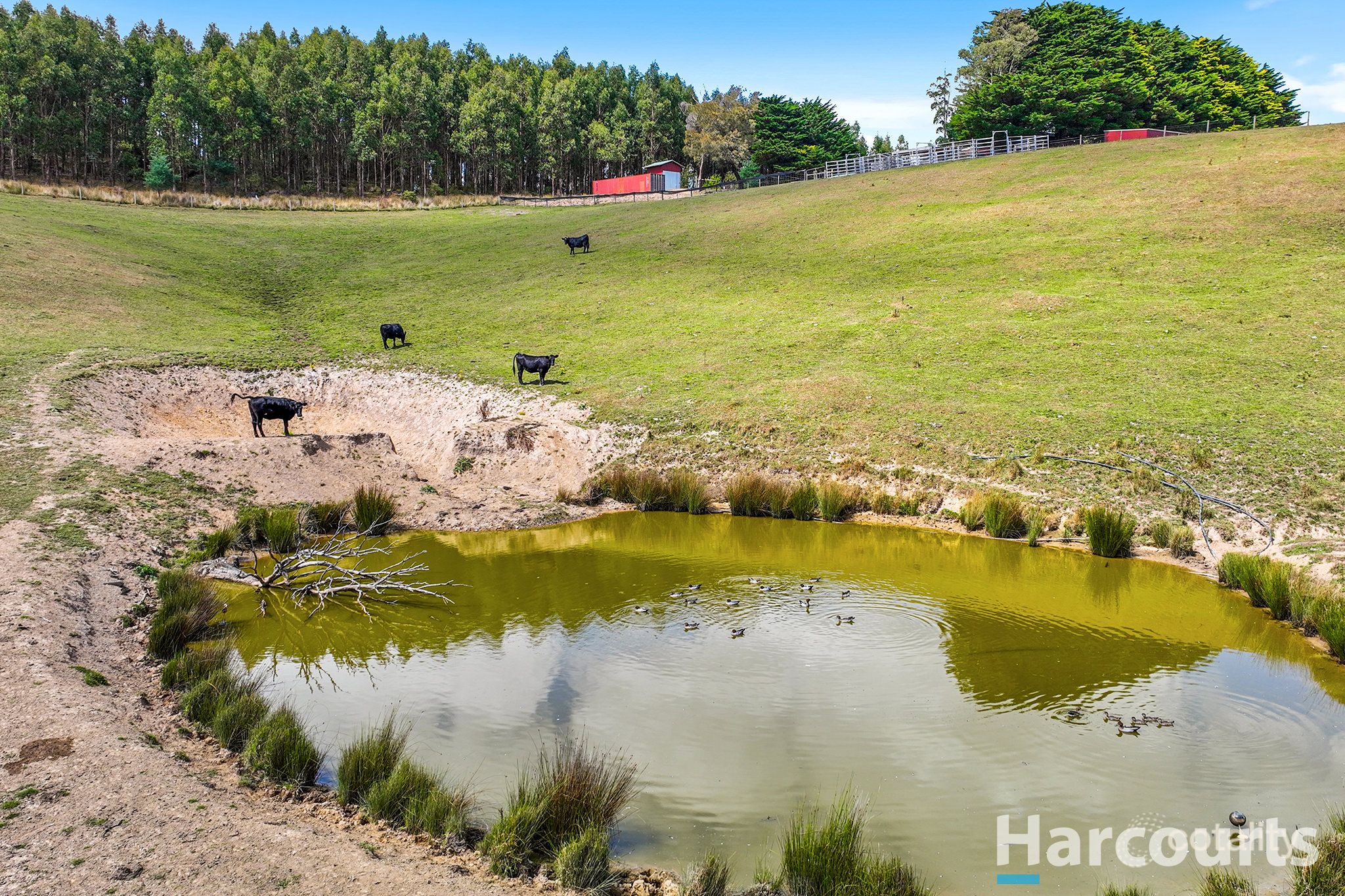 148 Allmans Rd, Trida, VIC 3953