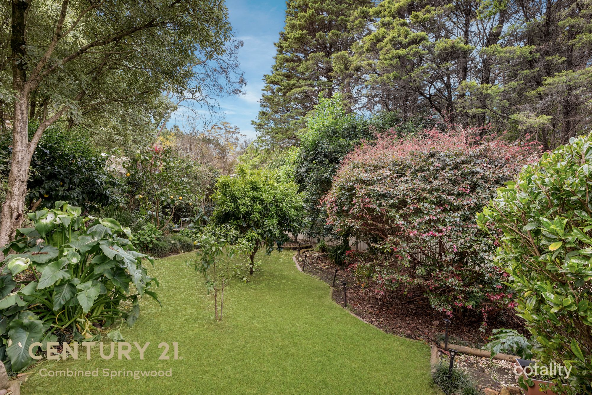 10 Gazania St, Faulconbridge, NSW 2776