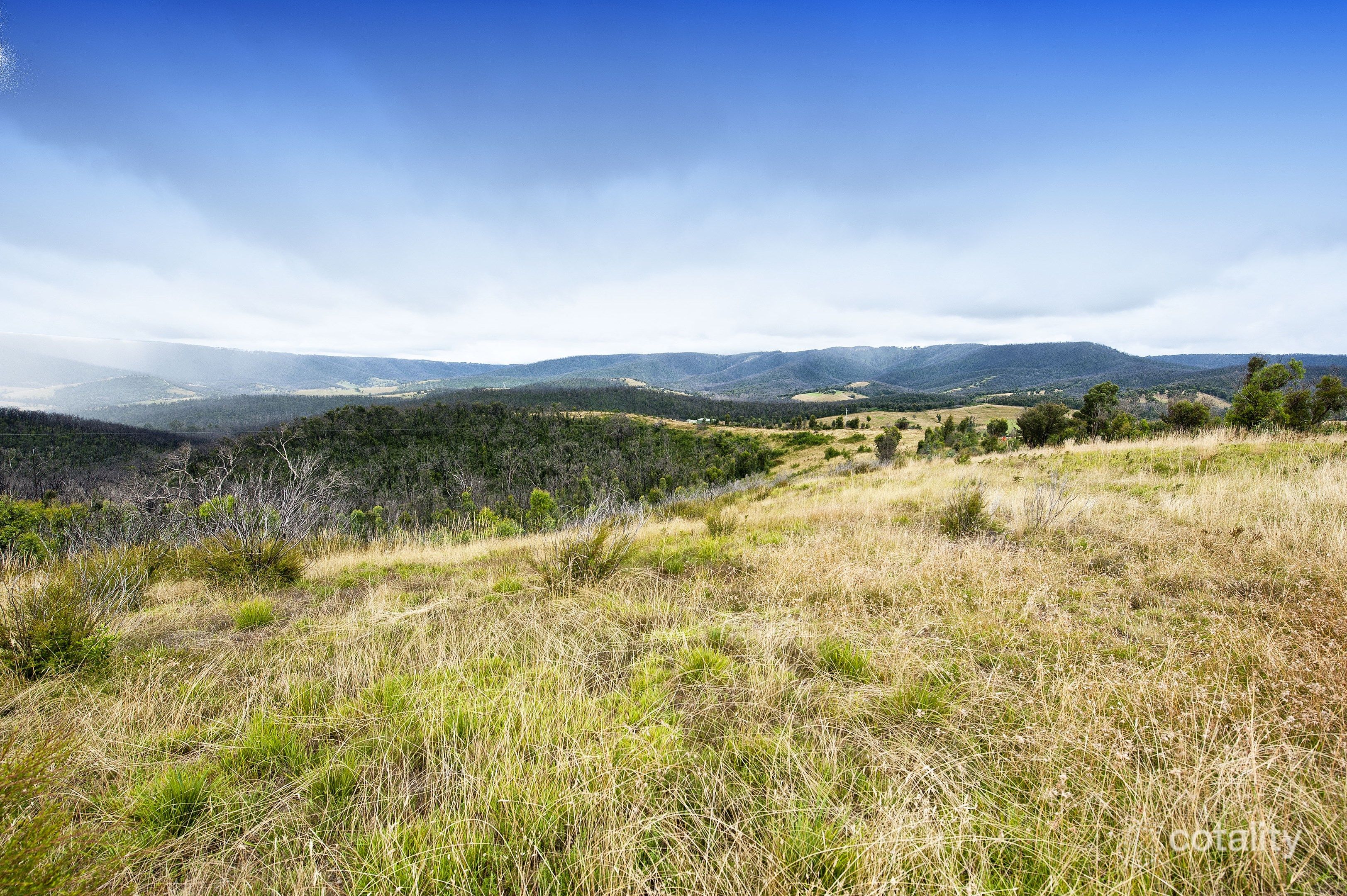 205 Jacksons Rd, St Andrews, VIC 3761