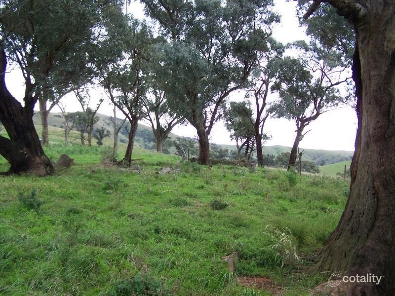 161 Spring Gully Rd, Ensay North, VIC 3895