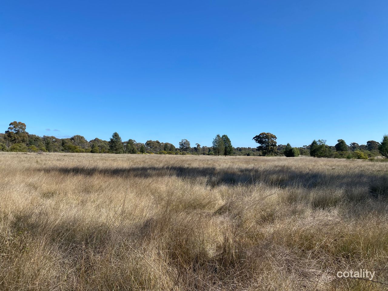 2111 Carlisle Rd, Fifield, NSW 2875