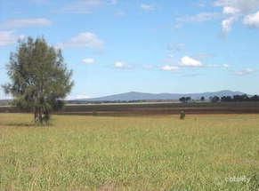 180 Ravensfield Lane, Bishops Bridge, NSW 2326