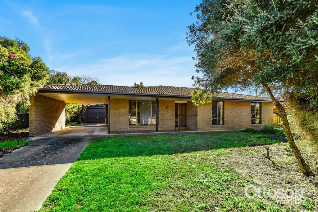 17 Price Ave, Naracoorte, SA 5271