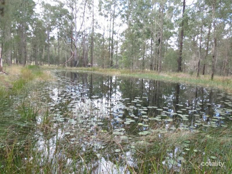 1006 Comboyne Rd, Cedar Party, NSW 2429