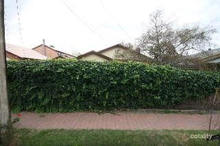 56 Harvey St, Collinswood, SA 5081