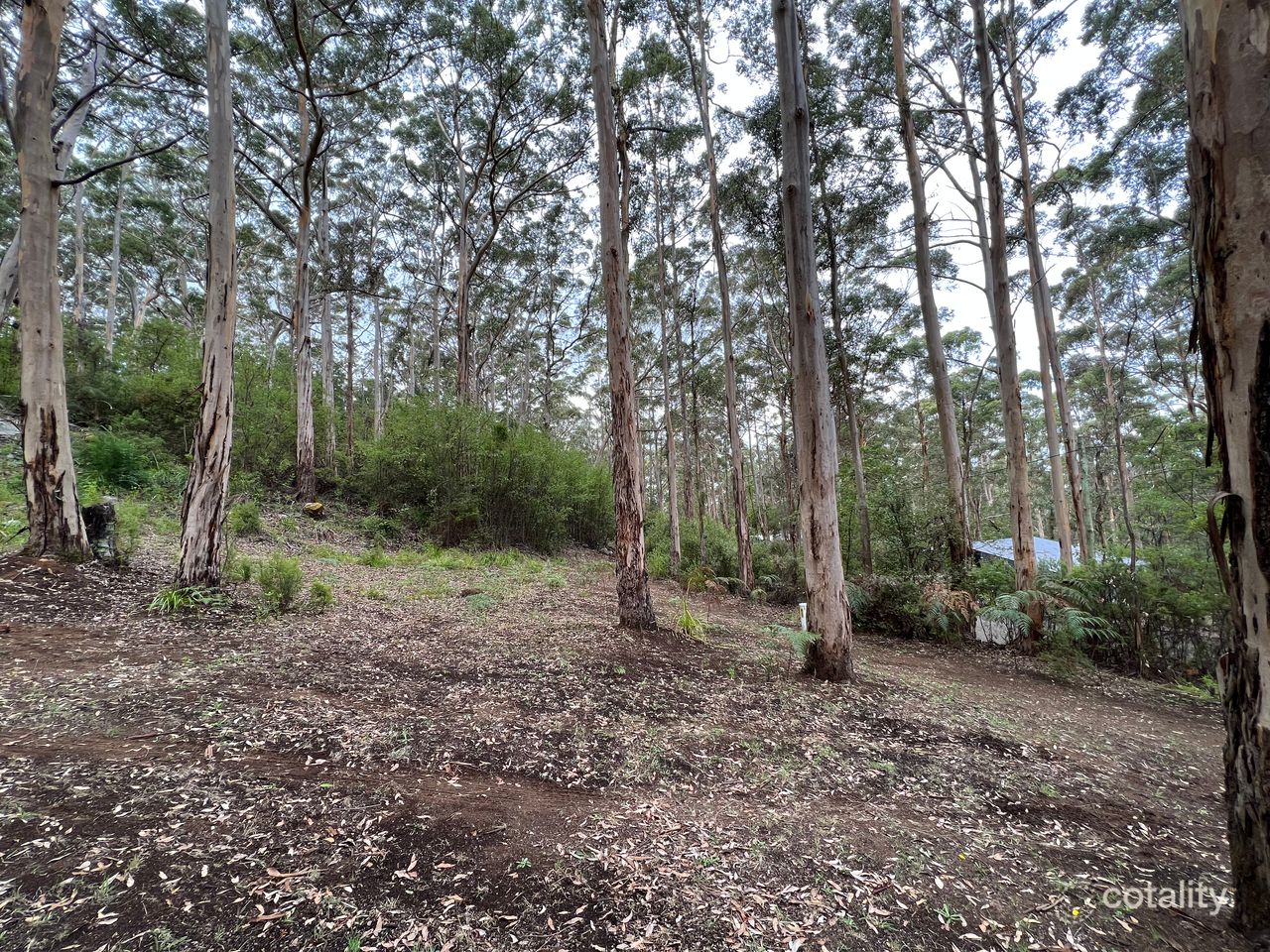 8 Adams Rd, Denmark, WA 6333