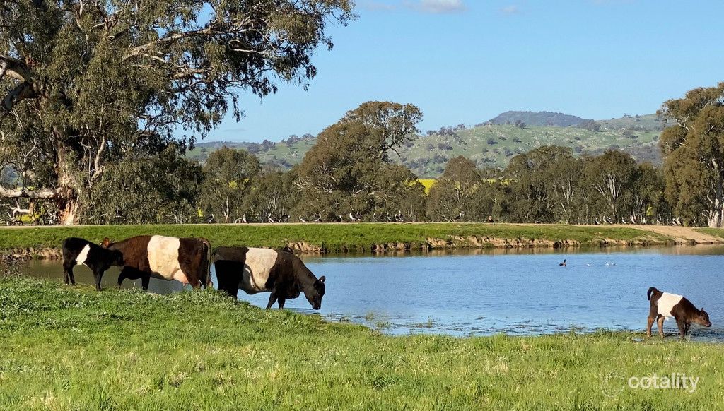 80 Millards Lane, Euroa, VIC 3666