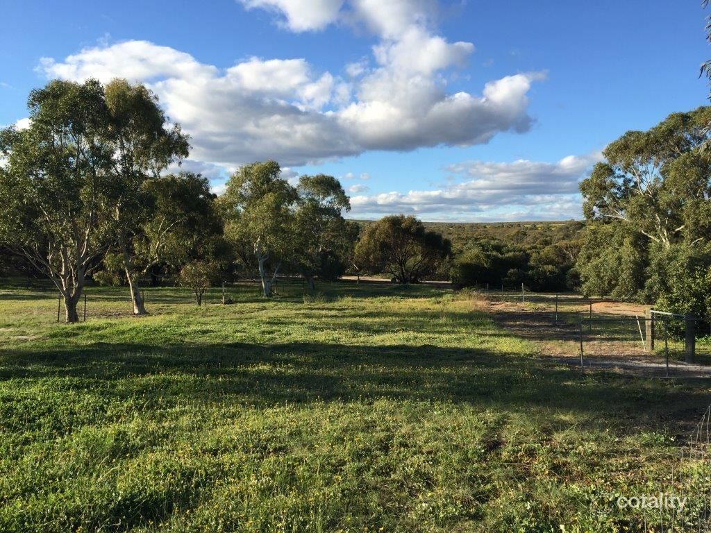 1339 Boothendarra Rd, Boothendarra, WA 6521