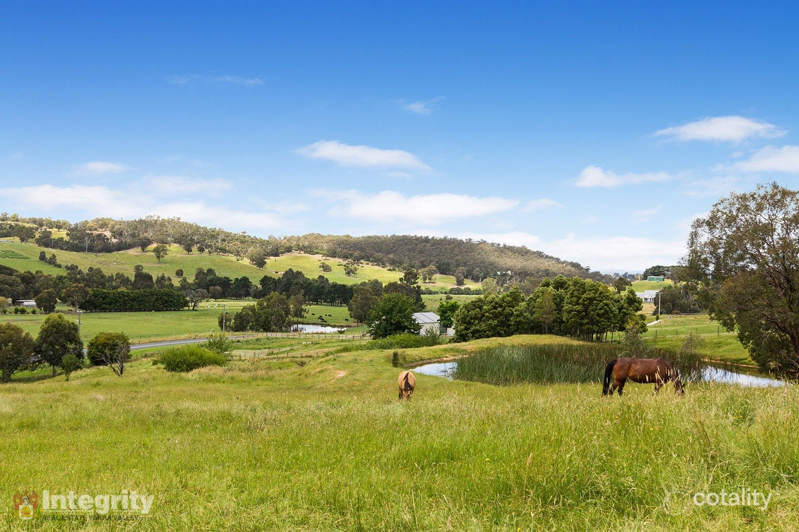 489 Steels Creek Rd, Steels Creek, VIC 3775