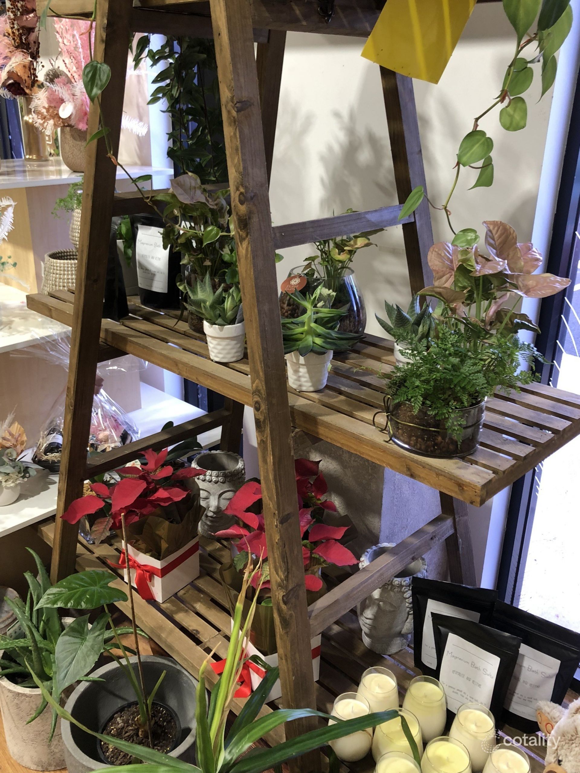 2/59 Forrest St, East Bunbury, WA 6230