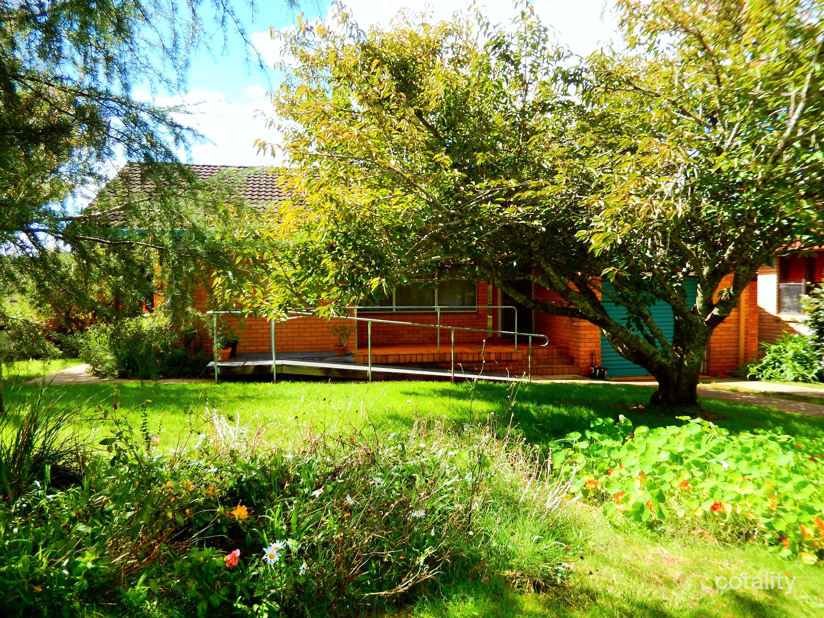 22 Kurrajong St, Dorrigo, NSW 2453