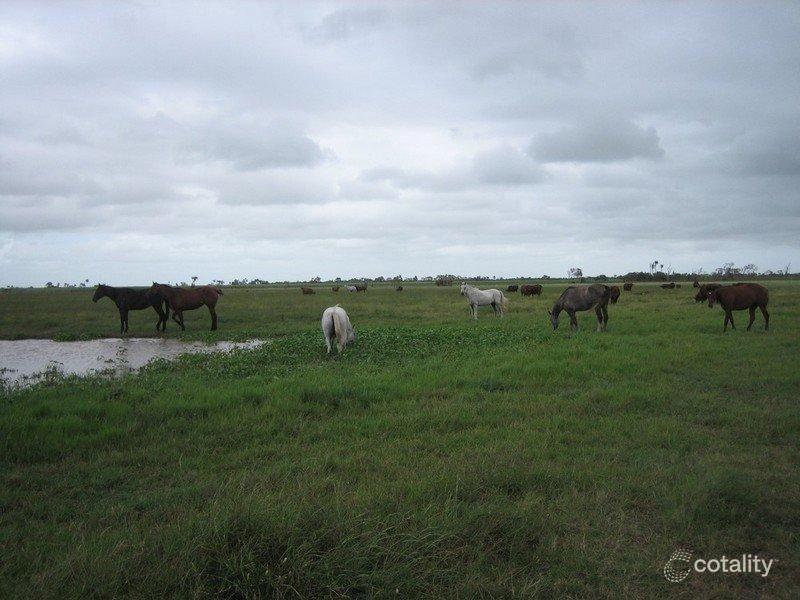 117 Pyott Rd, Airdmillan, QLD 4807