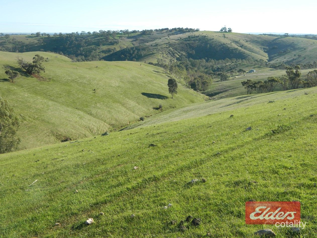 Lot 39 Riggs Rd, Bibaringa, SA 5118