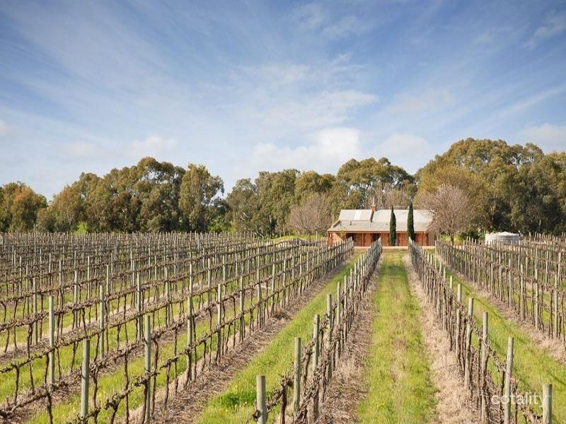 809 Meechi Rd, Langhorne Creek, SA 5255