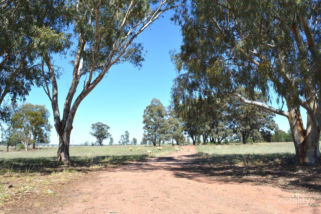 32r North Terramungamine Rd, Brocklehurst, NSW 2830
