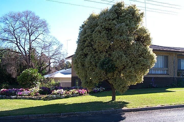 14 Kammann St, Manjimup, WA 6258