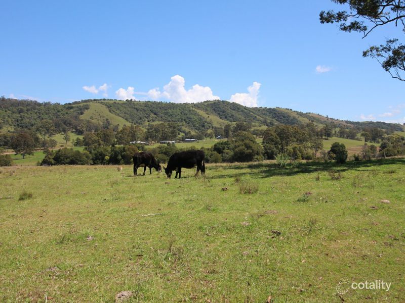 851 Wang Wauk Rd, Wang Wauk, NSW 2423