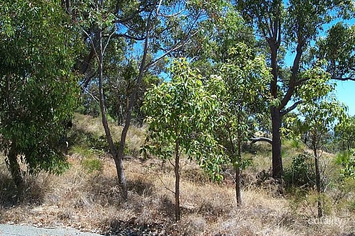 29 Rushton Tce, Mount Nasura, WA 6112