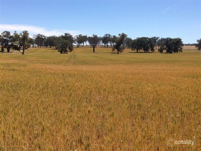 326 Blatches Lane, Bournewood, NSW 2868