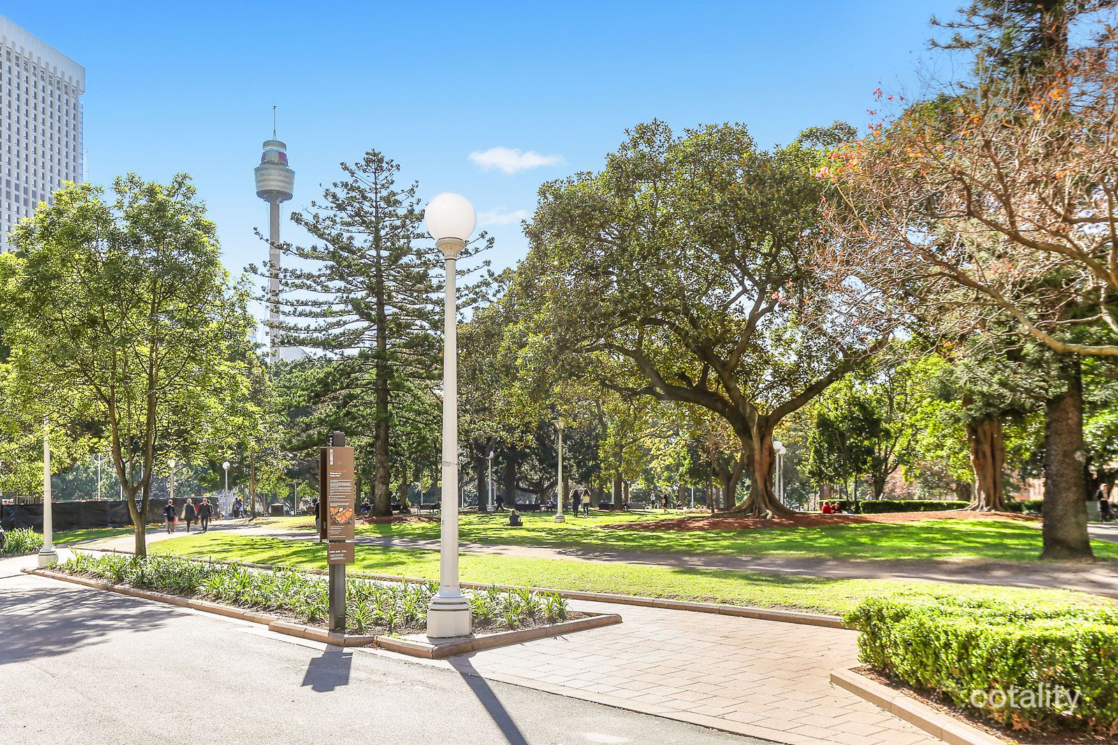 1902/11 Alberta St, Sydney, NSW 2000