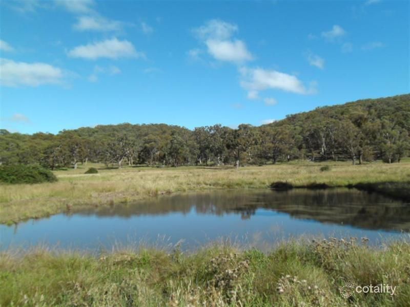 3042 Baldersleigh Rd, Baldersleigh, NSW 2365