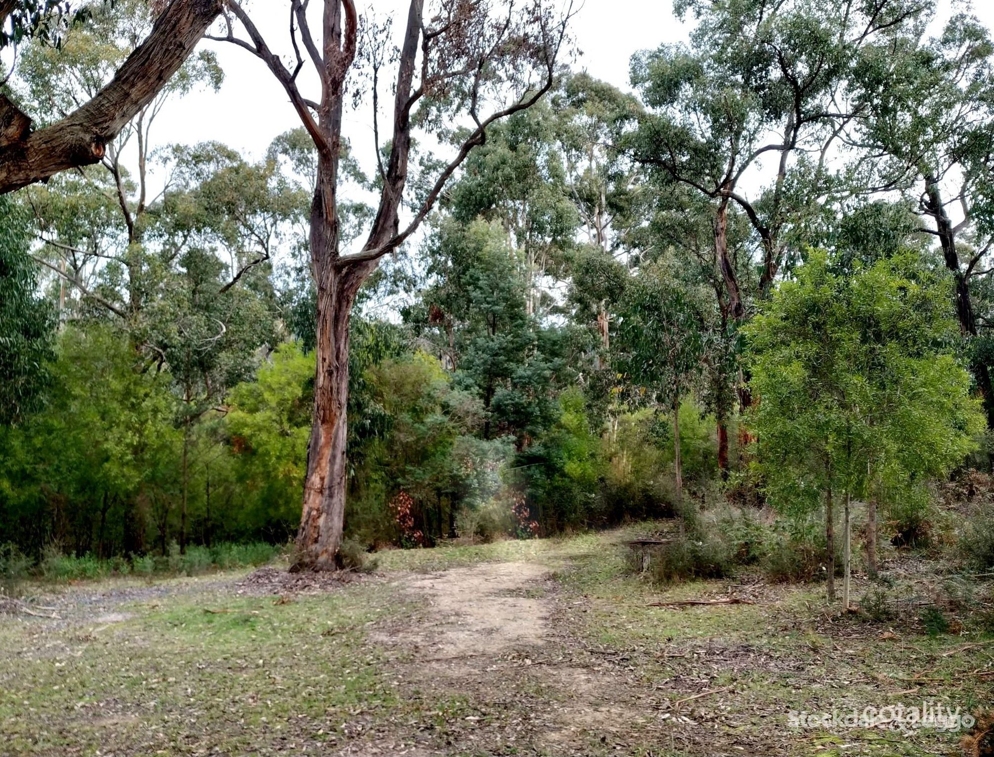 119 Bunderra Dr, Boolarra, VIC 3870