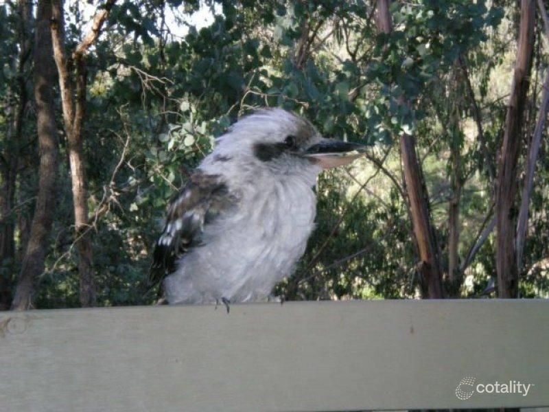 4 Dunn Ct, Alexandra, VIC 3714