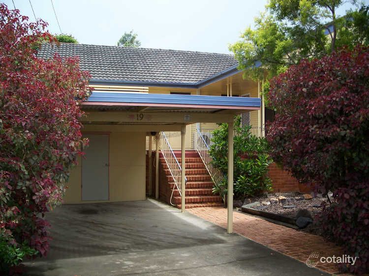 19 Camelia St, Cannon Hill, QLD 4170