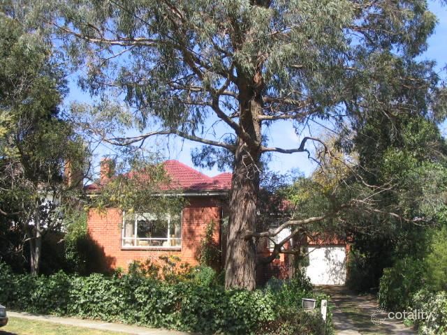 14 Ayr St, Blackburn South, VIC 3130