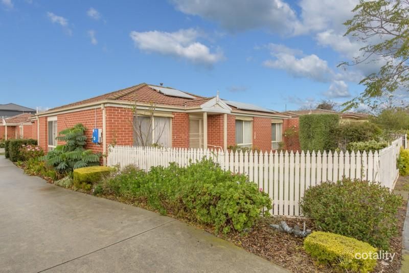 1/56 Woodbine Gr, Chelsea, VIC 3196