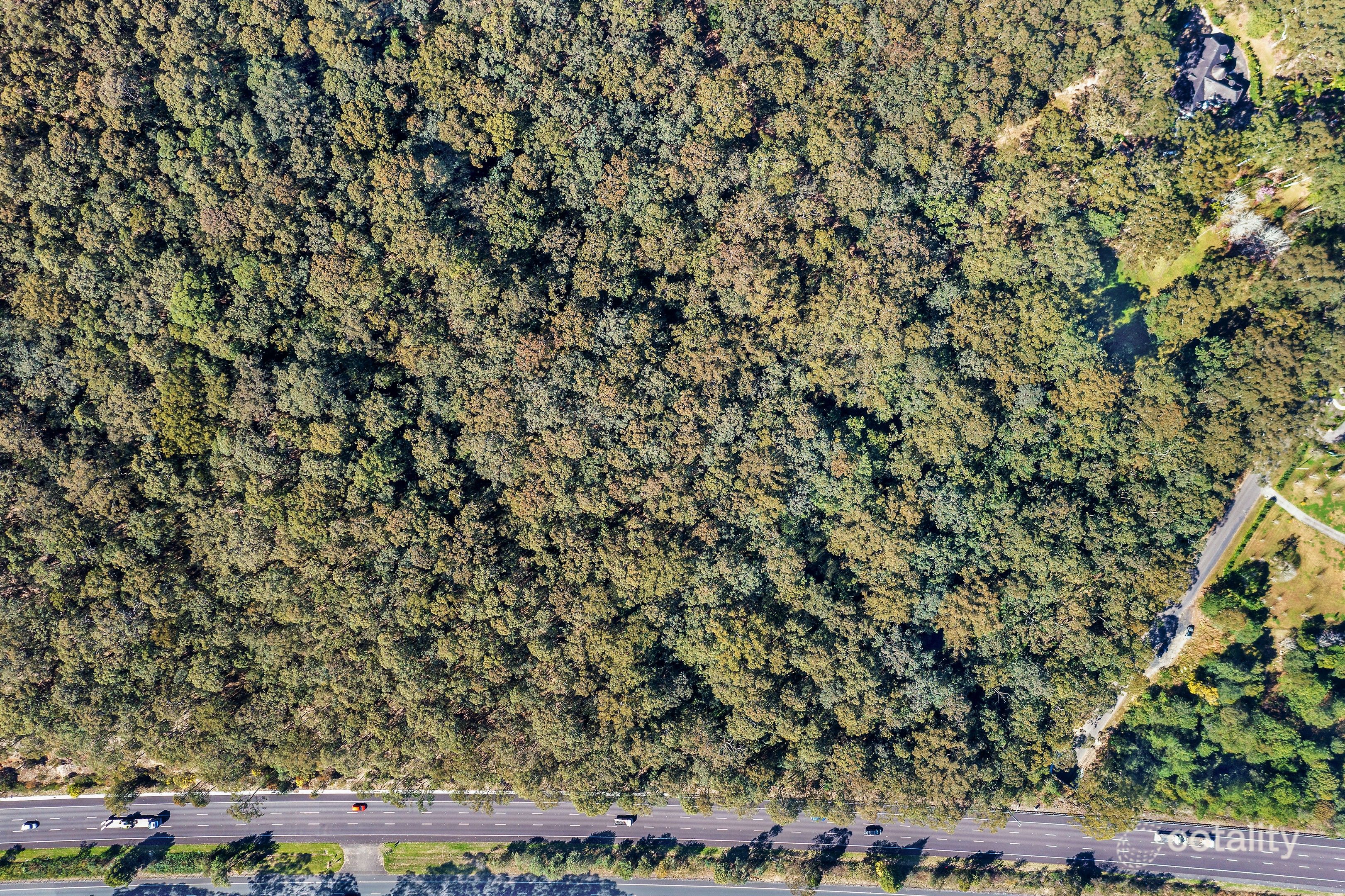 7 Old Tuggerah Rd, Kangy Angy, NSW 2258