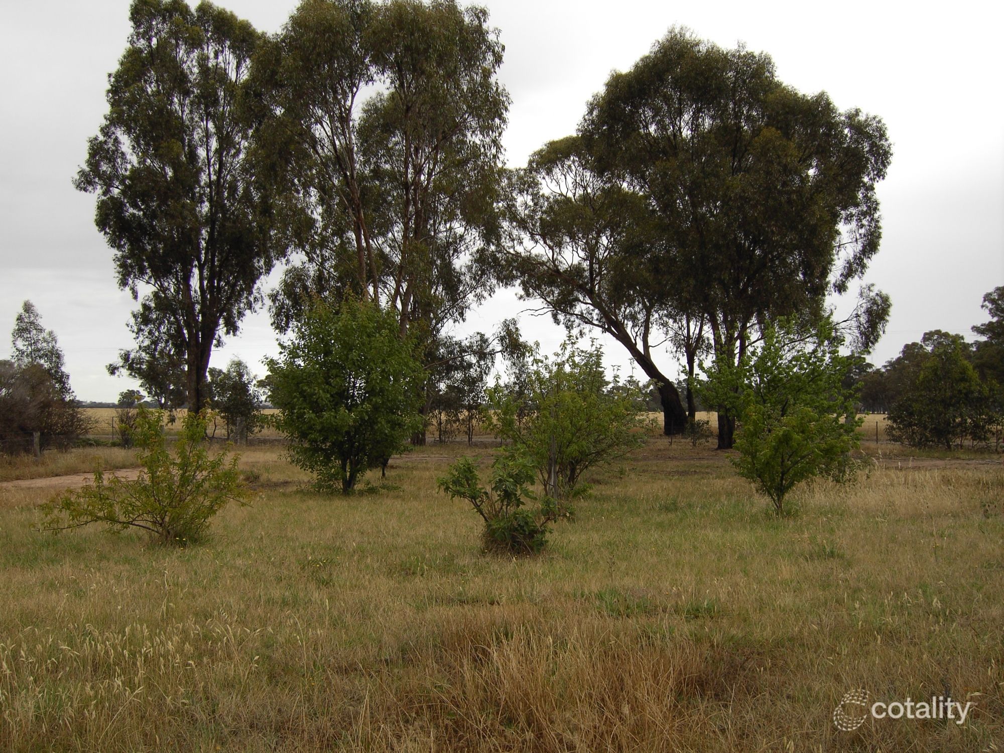 1095 Oliver Rd, Yundool, VIC 3727