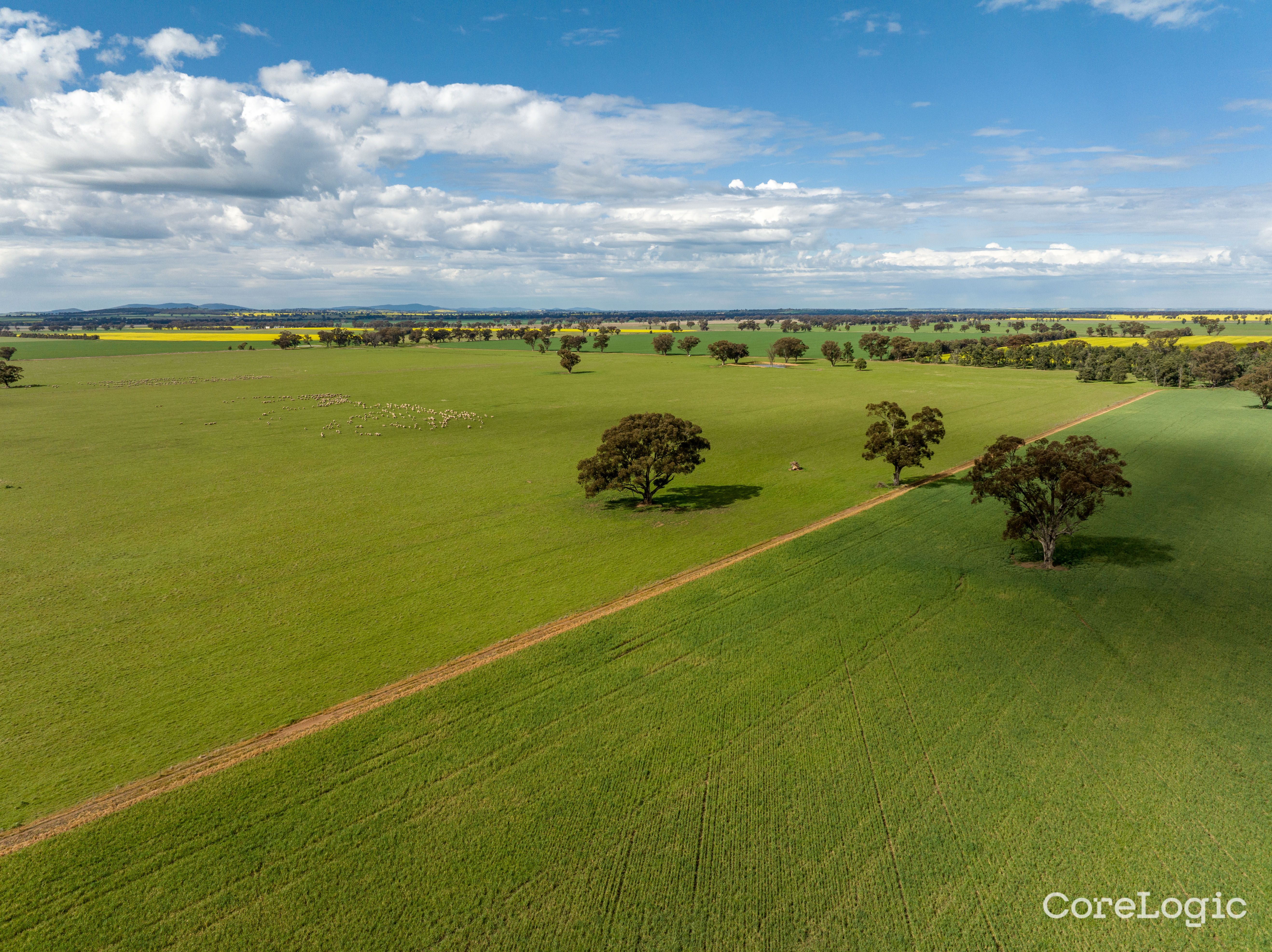467 Leonards Rd, Combaning, NSW 2666