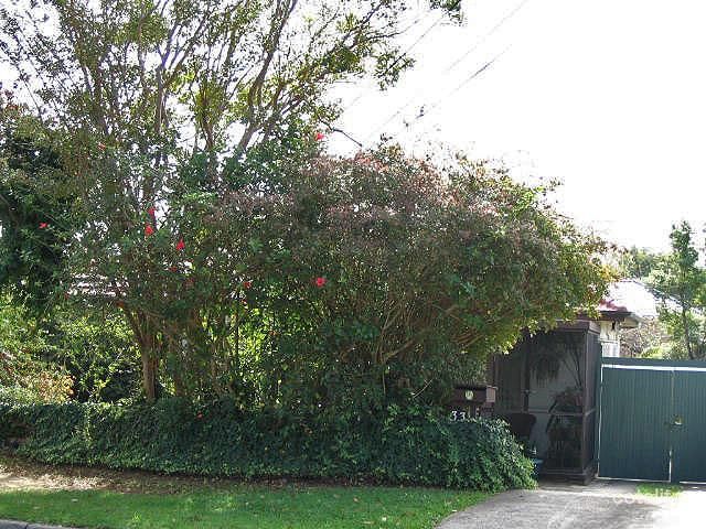 33 Ford St, North Ryde, NSW 2113