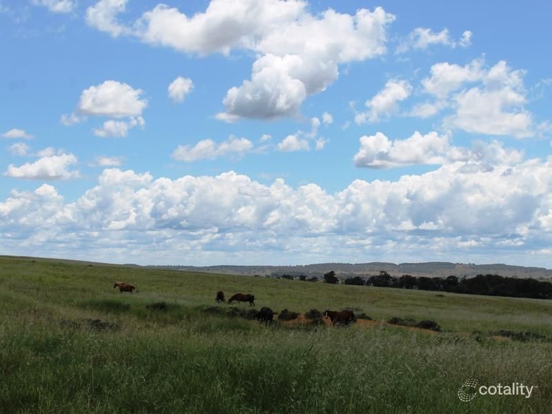 1225 Gollan Rd, Goolma, NSW 2852