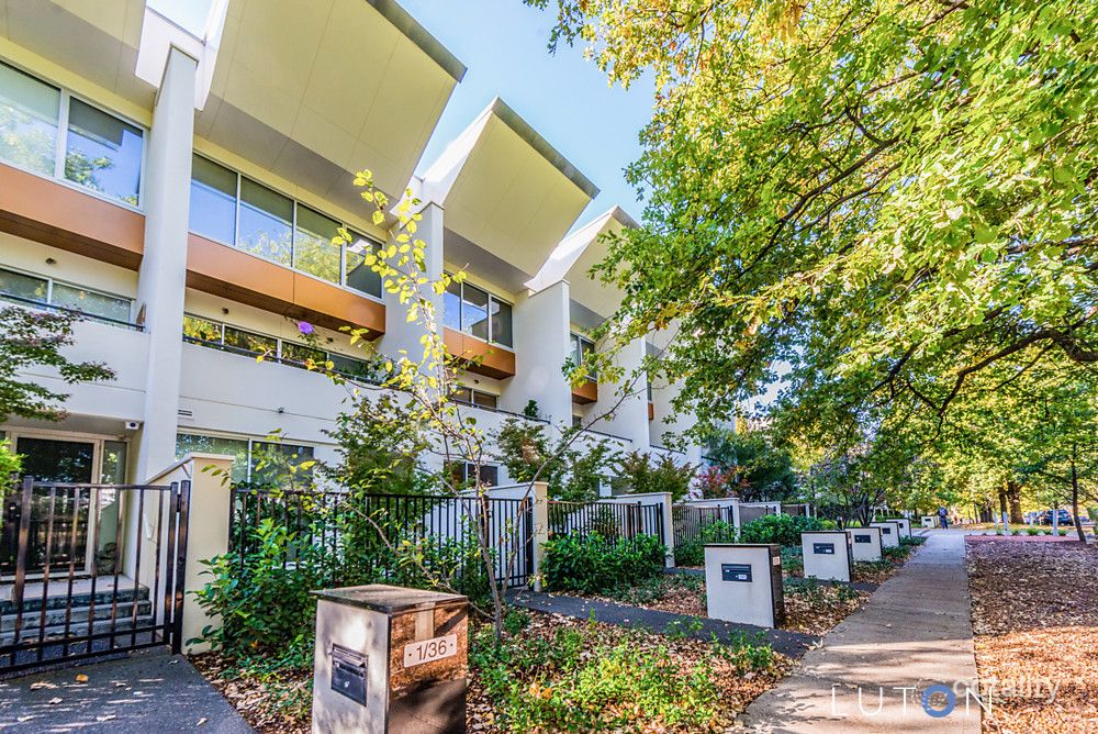 3/36 Forbes St, Turner, ACT 2612
