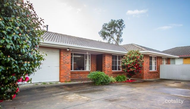 3/111 Sturt St, Mount Gambier, SA 5290