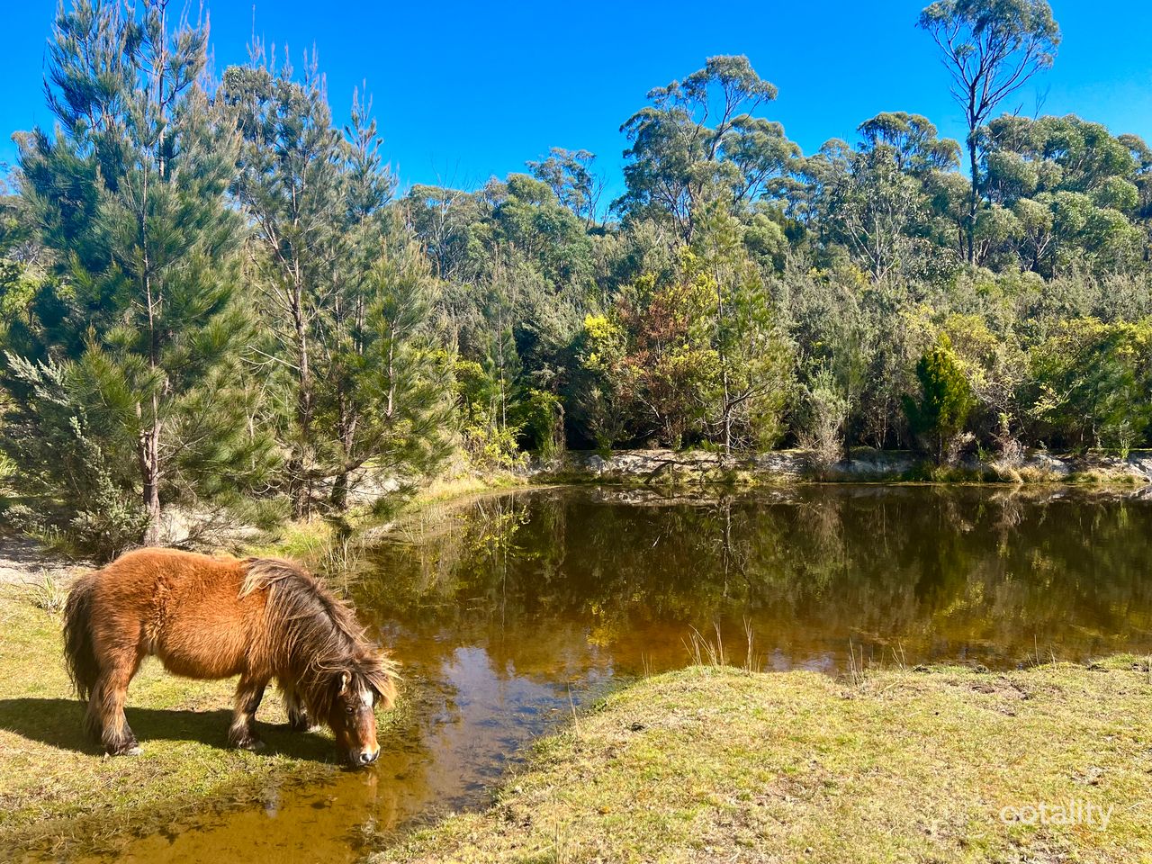 74 Canhams Rd, St Helens, TAS 7216