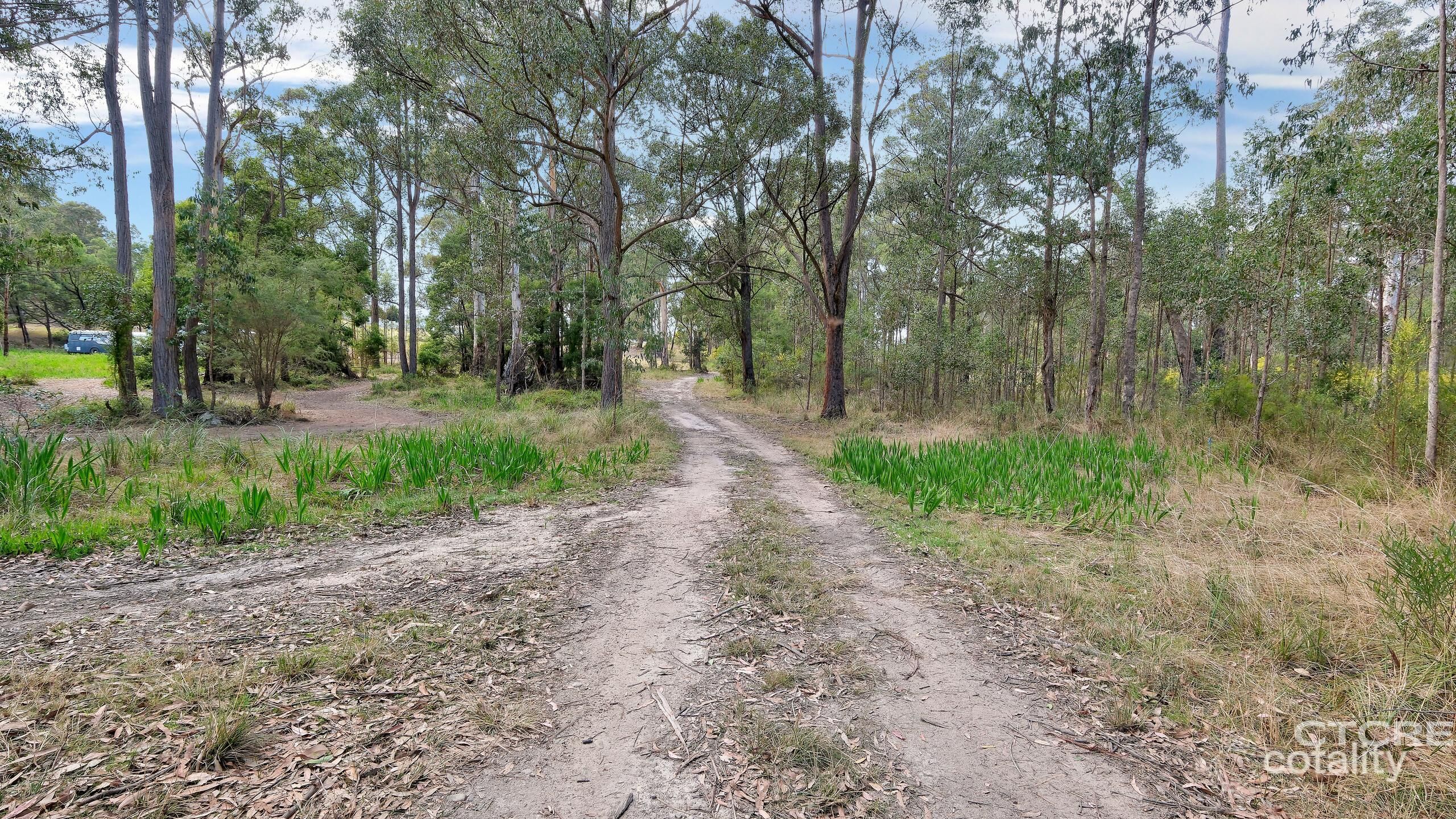 5 Adams St, Cann River, VIC 3890