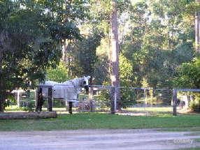 111 Timbara Rd, Pomona, QLD 4568
