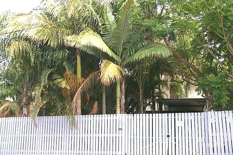 51 Karri Ave, Logan Central, QLD 4114
