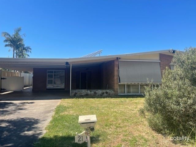 21 Walker Ave, Paradise, SA 5075