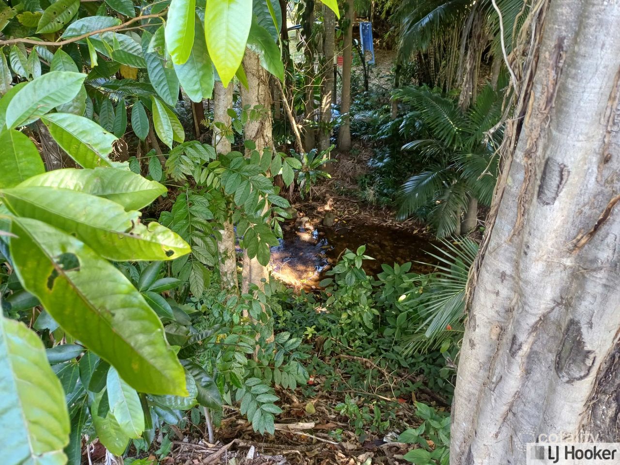 3 Clarke Kennedy St, Tully, QLD 4854