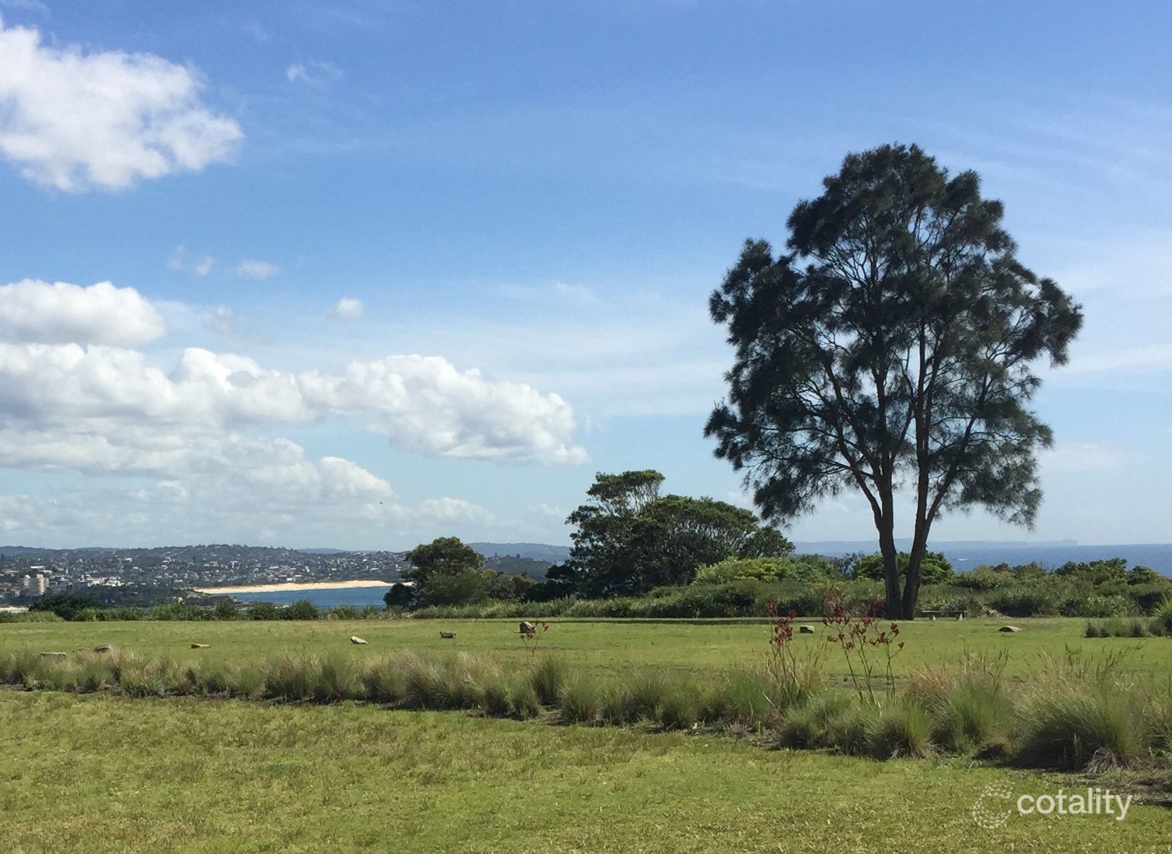 14/2 Cerretti Cres, Manly, NSW 2095